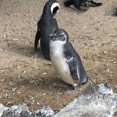 nattttooo's profile picture. 