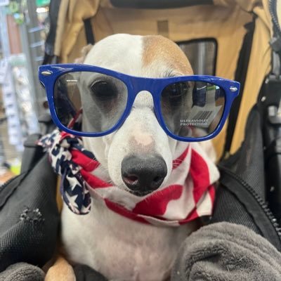 LeilaniSherrill's profile picture. 