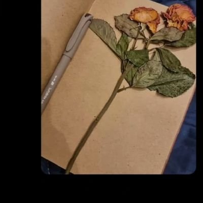 Danam_45's profile picture. 