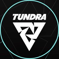 TUNDRA Fortnite(@TundraFortnite) 's Twitter Profileg