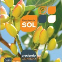 Pistachos del Sol (@pistachosdelsol) 's Twitter Profile