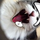 Lynette hamilton - @Lynettehamilton - Twitter