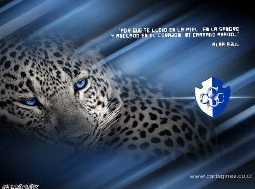 faqr2413's profile picture. 