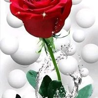 جابراسماعيل محمدنور (@gabermohmednoor) Twitter profile photo