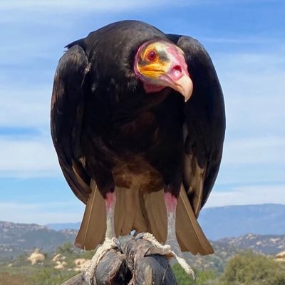 Docma_'s profile picture. Who ever really knows