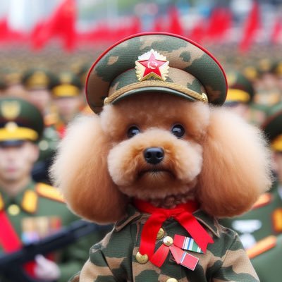 Supreme Poodle Leader  of Poodlestan