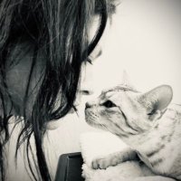 E.H. Wilde (@eh_wilde) 's Twitter Profile