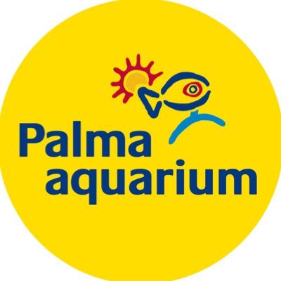 🦈 Mucho más que un parque marino 🐠 Protejamos juntos mares y océanos 🌏 Miembro de Coral World International 🐢 Palma Aquarium Fundación #WeLoveOceans