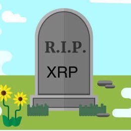 Samandersan1's profile picture. 