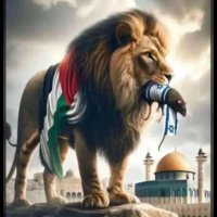 Alibek Abdulaev (@abdulaevalibek) 's Twitter Profile