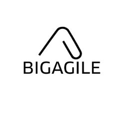 getbigagile Profile Picture