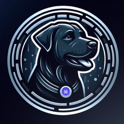 $GUS, @mrkmcknz's black Labrador found a coin that lives in #STX blockchain.