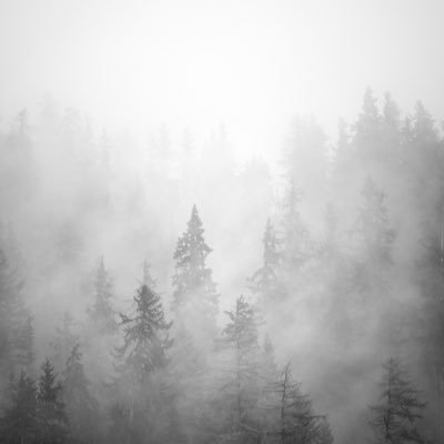 thejordengrey's profile picture. i write.