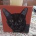 Benny the cat (@edwarddrohan) Twitter profile photo Benny the cat (@edwarddrohan) Twitter profile photo