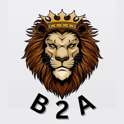 b2amindset Profile Picture