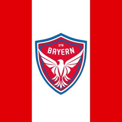 stb_bayern's profile picture. Instagram: @bayernfans.idd