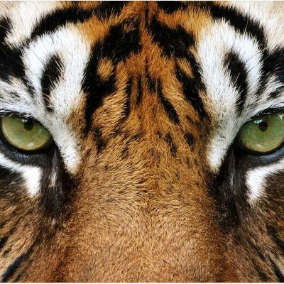 DionyaiFrank's profile picture. 