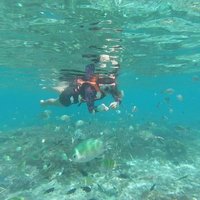 cmm (@cristymonte_) 's Twitter Profile