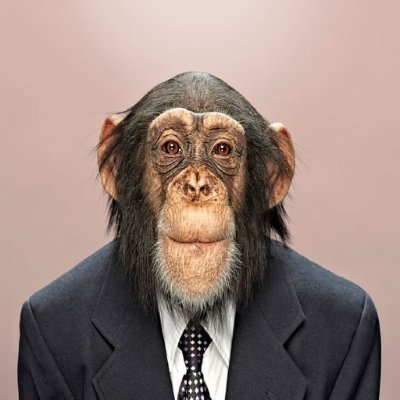 alf2swag's profile picture. 19 | id/alf | @9lfi

he/him