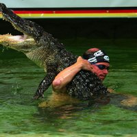 GatorBoys/PaulBedard(@TheGatorboys) 's Twitter Profileg