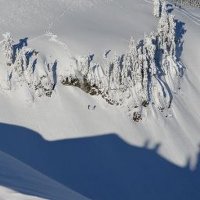 Anders (@ganzandersledes) 's Twitter Profile