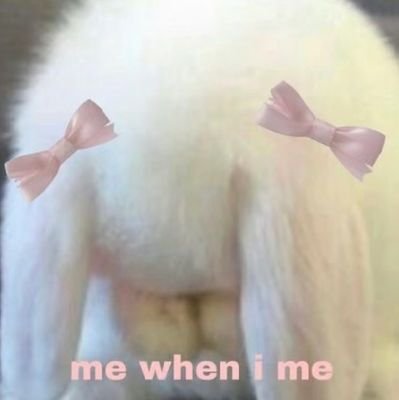 ananalu01's profile picture. eu não uso twitter