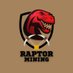 Raptor Mining (@MiningRaptor) Twitter profile photo