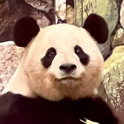 obubun_obubu's profile picture. 🐼さん特に浜家大好き。最強双子姉妹🌸🍑 は永遠の推し。最近🌈神様も好き❤️国外🐼は萌蘭✨和花🌼福宝🏵️北辰🐲応援💕毎日全力🐼活中❗️無言フォローいいねリポスト失礼します。Instagram→ https://t.co/99GHhATG1X