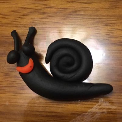 snailshellshell's profile picture. 