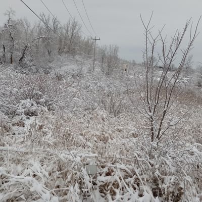 tootookan's profile picture. 