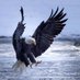 Rohani (@samima522570181) Twitter profile photo Rohani (@samima522570181) Twitter profile photo