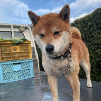ノエ (@noel_12_26) Twitter profile photo