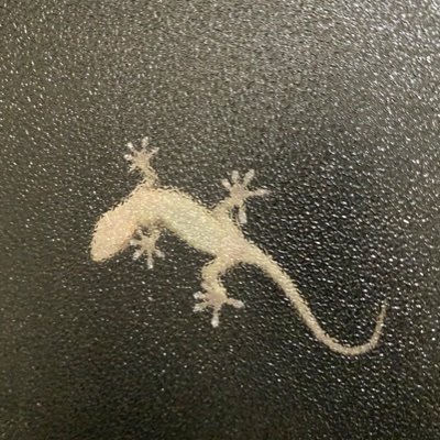 in82565258's profile picture. オリガイ奮闘記