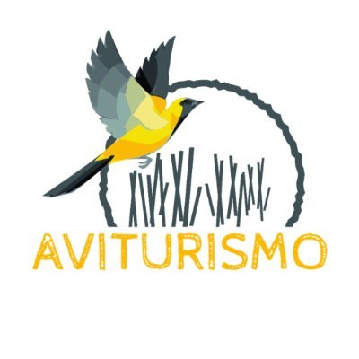 Empresa de educación ambiental, especializada en salidas ornitológicas y proyectos medio ambientales. #aviturismo