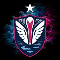 South Georgia Tormenta FC(@Tormenta_FC) 's Twitter Profile Photo