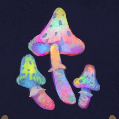 🍄 Messy-Mushrooms 🔞さんのプロフィール画像