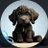 BabyMyro avatar