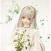 しゎくりゃ (@atpwdd) Twitter profile photo しゎくりゃ (@atpwdd) Twitter profile photo