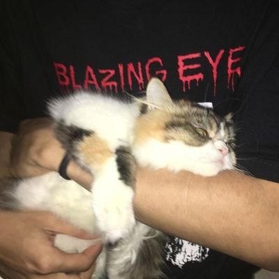 kittenc_c's profile picture. idgaf