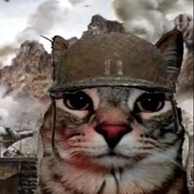 Norskenwow's profile picture. 24 🇸🇪/🇳🇴