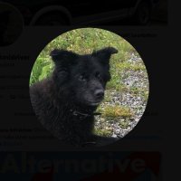Mona Amidriver (@amidriverram) 's Twitter Profile