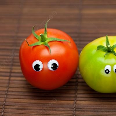 TomSavageTomato's profile picture. 