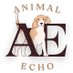 Animal Echo (@animalecho) Twitter profile photo Animal Echo (@animalecho) Twitter profile photo