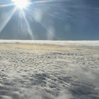 rasu (@rasu) 's Twitter Profile