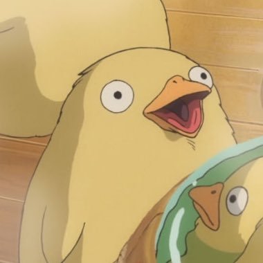 berisarada6427's profile picture. 