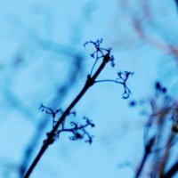 空写機 (@cooshaaki) Twitter profile photo