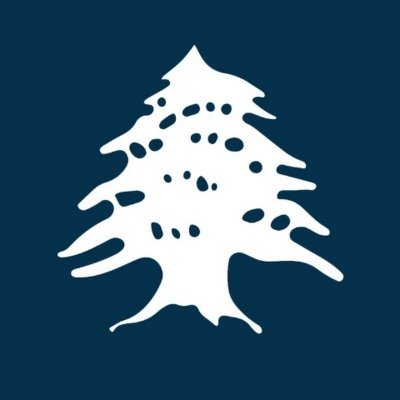 قناة البديل هي منصّة اخباريّة لبنانيّة مستقلّة، تغطّي أخبار لبنان والشرق الأوسط.