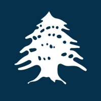 Al Badeel (@albadeelplan) 's Twitter Profile