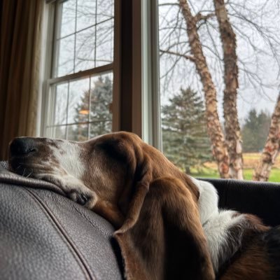 ben_7430's profile picture. 