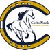 Colts Neck Schools (@CNSchools) Twitter profile photo